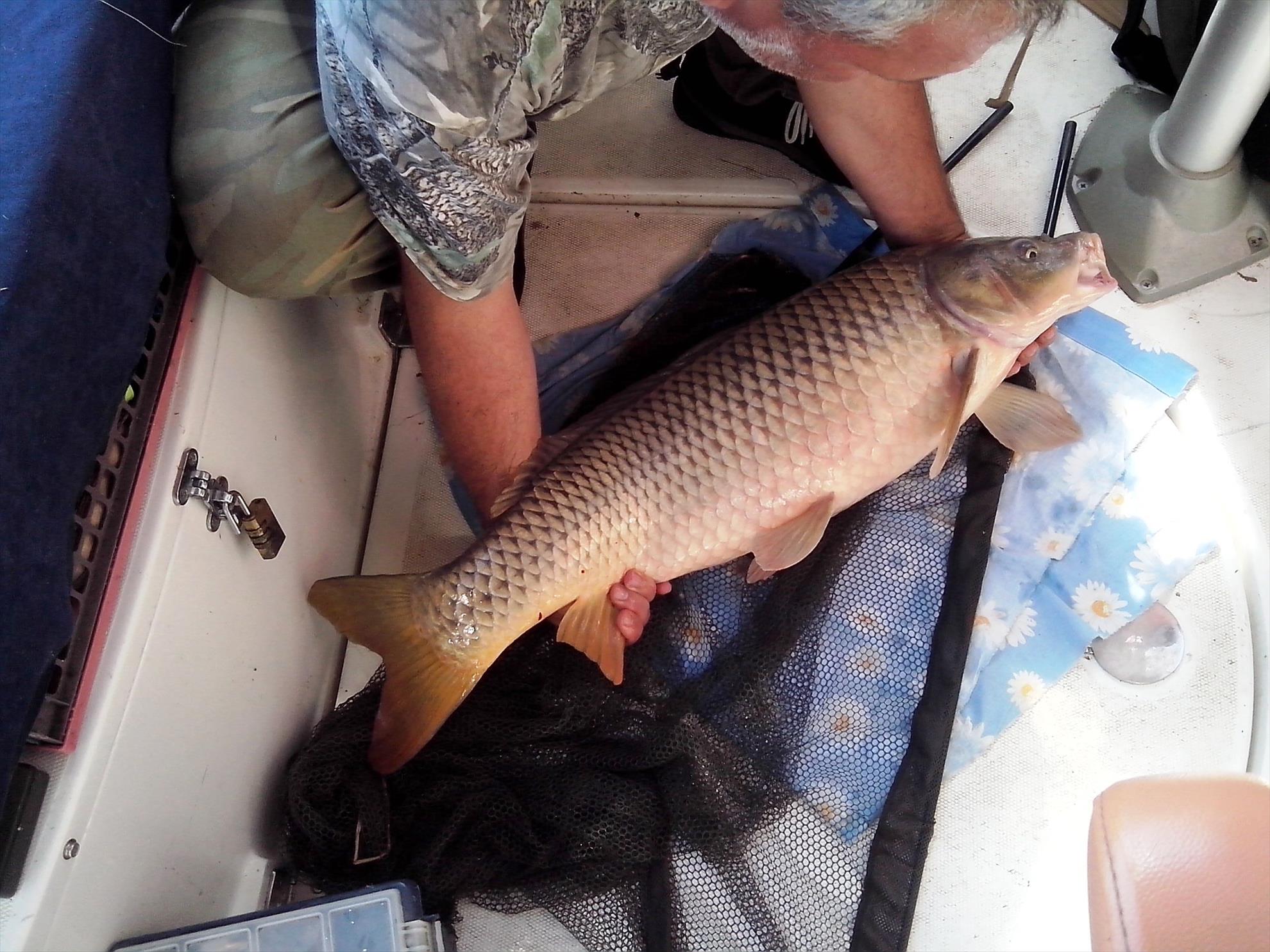 Sulina septembrie 2014 - img20140925132211.jpg